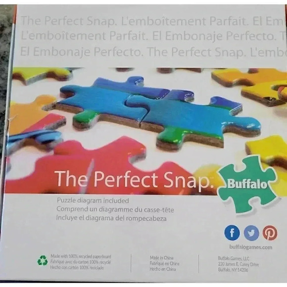 Buffalo Games Charles Wysocki Frederick the Literate Cat Large 300 Piece Puzzle - Picture 4 of 4